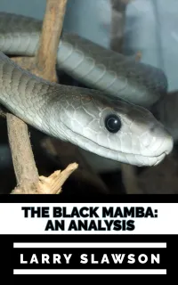 The Black Mamba : An Analysis