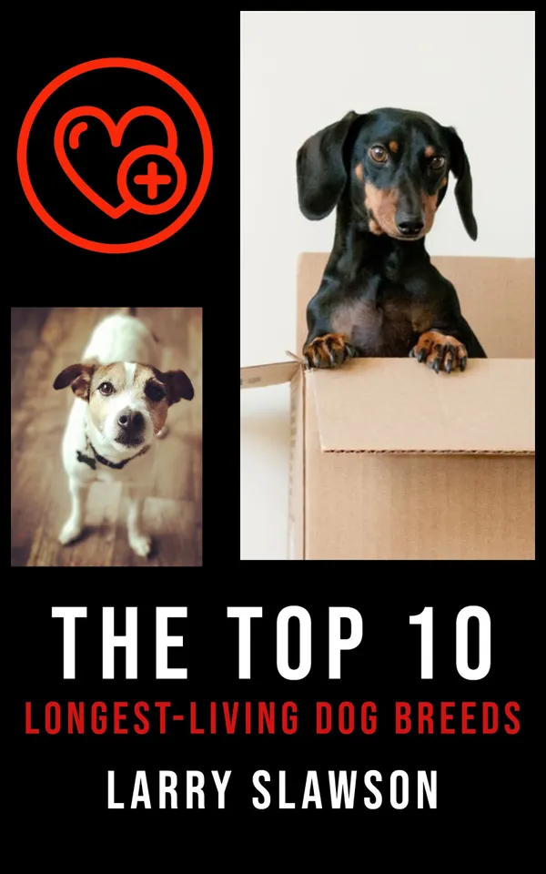 The Top 10 Longest-Living Dog Breeds