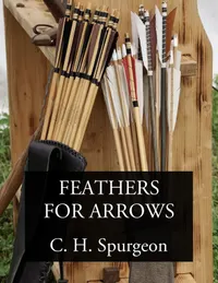 Feathers for Arrows : Illustrations for Preachers and Teachers from My Notebook