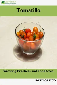 Tomatillo : Growing Practices and Food Uses