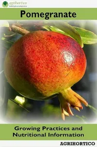 Pomegranate : Growing Practices and Nutritional Information