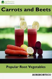 Carrots and Beets : Popular Root Vegetables