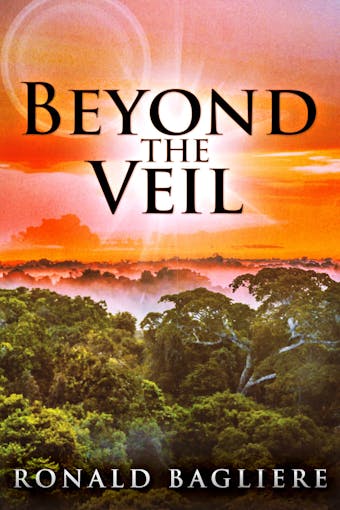 Beyond the Veil - undefined