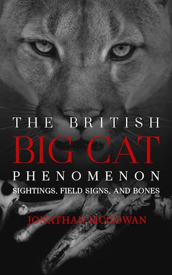 The British Big Cat Phenomenon - undefined