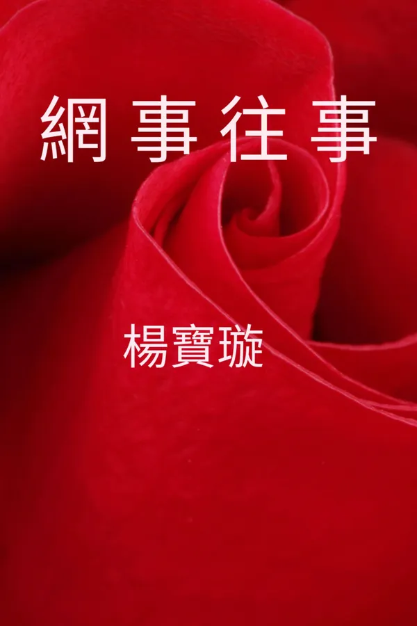 網事往事