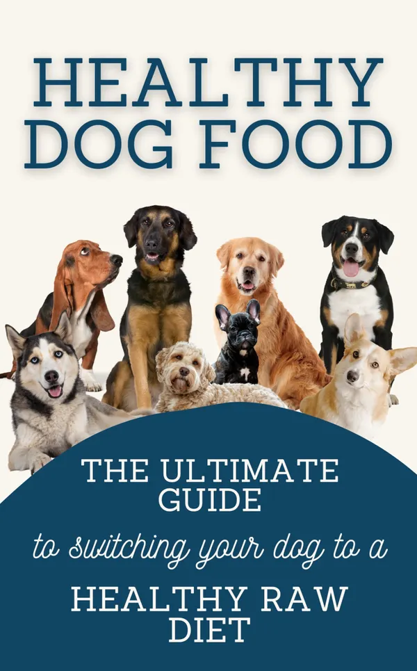 Healthy Dog Food