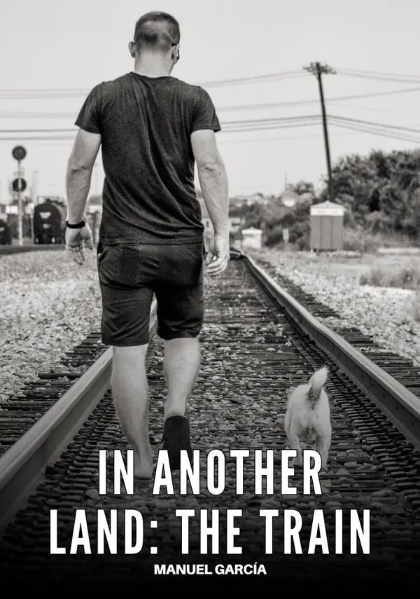 In another land: the train : Gay Erotic Stories of Extreme Sex for Mature Men