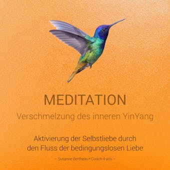Meditation für die Verschmelzung des inneren YinYang - undefined