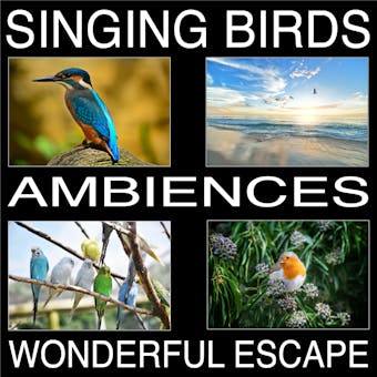 Singing Birds Ambiences, Wonderful Escape - undefined