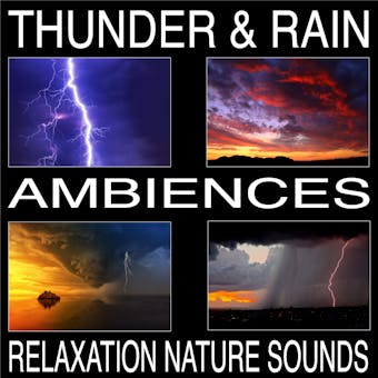 Thunder & Rain Ambiences, Relaxation Nature Sounds - undefined