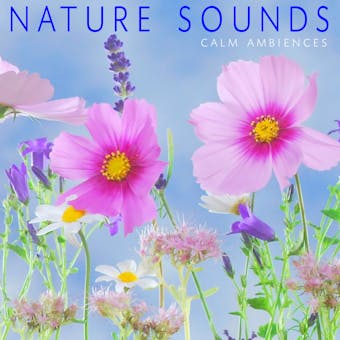 Nature Sounds (Calm Ambiences) - undefined
