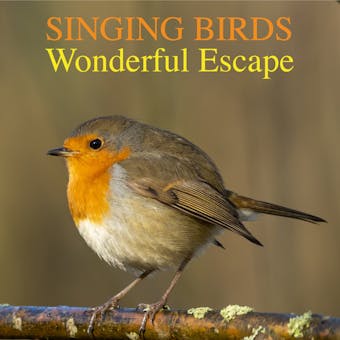 Singing Birds -Wonderful Escape (Nature Sounds To Reduce Stress And Well Being) - undefined