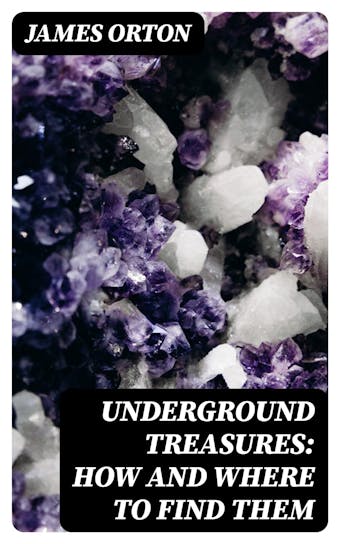 Underground Treasures: How and Where to Find Them: A Key for the Ready Determination of All the Useful Minerals Within the United States - James Orton