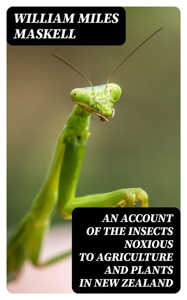 An Account of the Insects Noxious to Agriculture and Plants in New Zealand : The Scale Insects (Coccididae)
