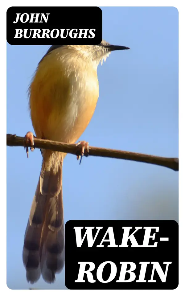Wake-Robin