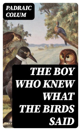 The Boy Who Knew What The Birds Said - Padraic Colum