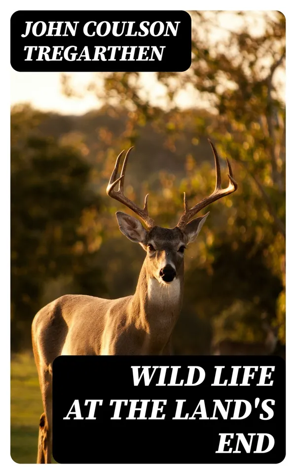 Wild Life at the Land's End: Observations of the Habits and Haunts of the Fox, Badger, Otter, Seal, Hare and of Their Pursuers in Cornwall