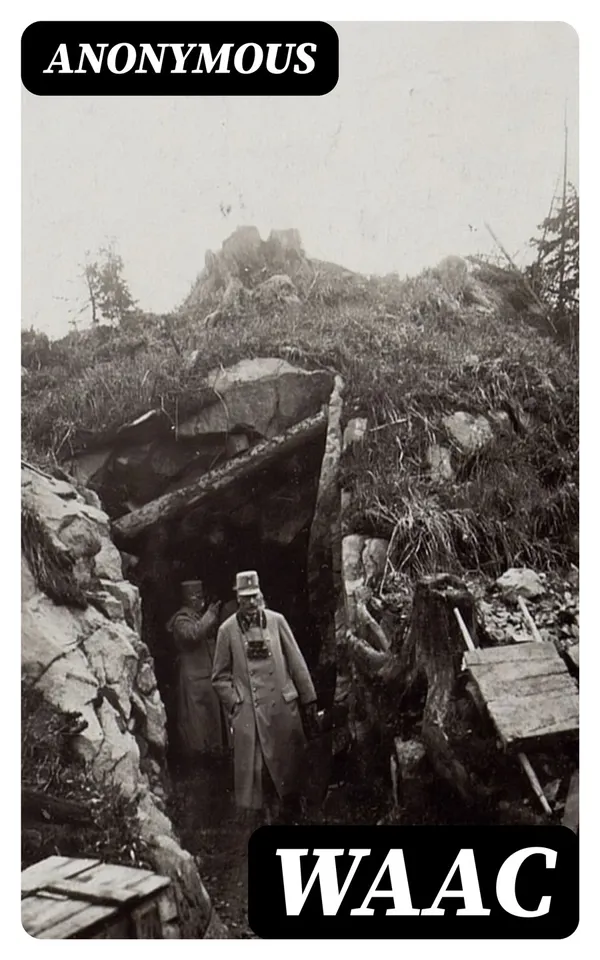 WAAC : The Woman's Story of the War