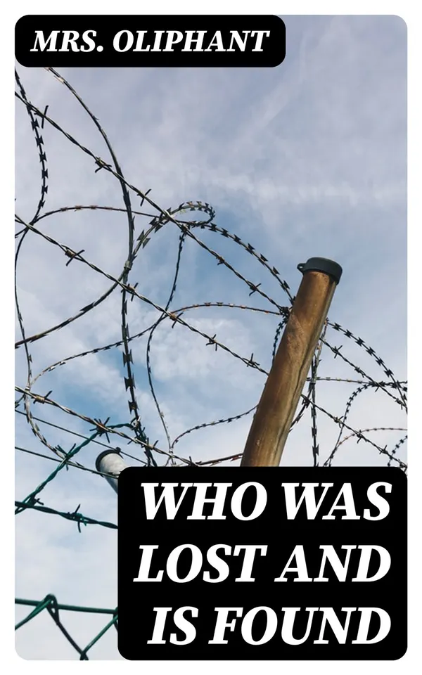 Who Was Lost and Is Found : A Novel