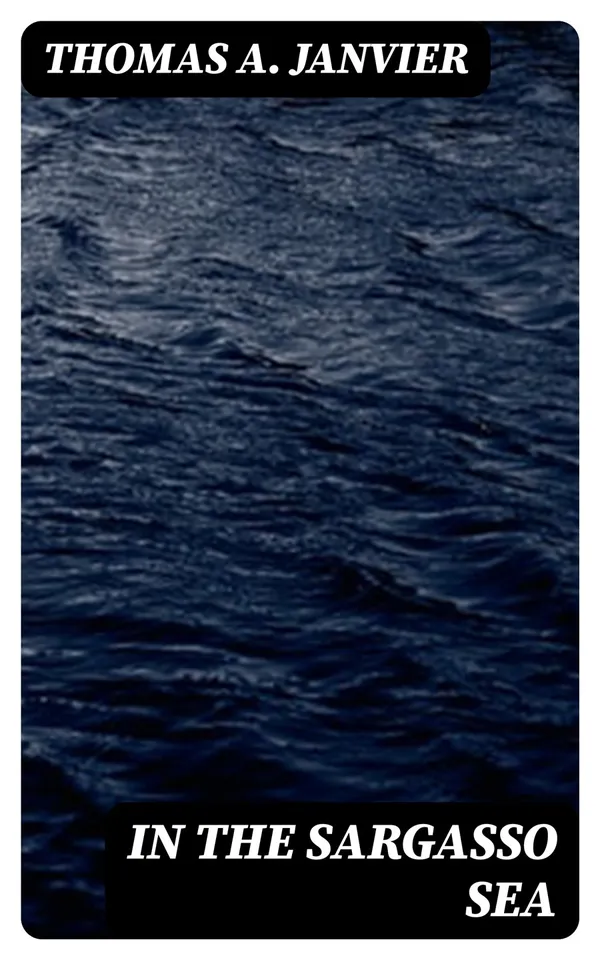 In the Sargasso Sea : A Novel