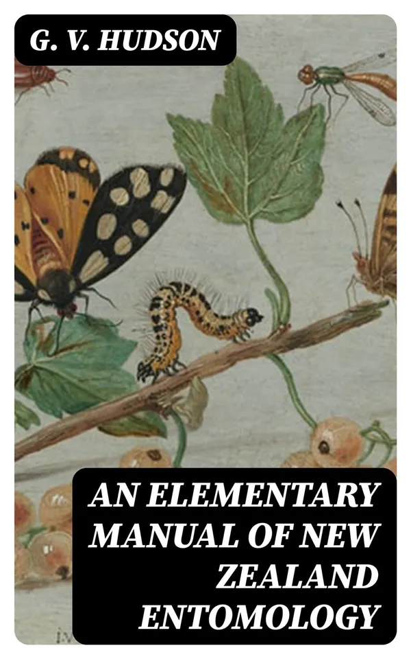 An Elementary Manual of New Zealand Entomology : Being an Introduction to the Study of Our Native Insects