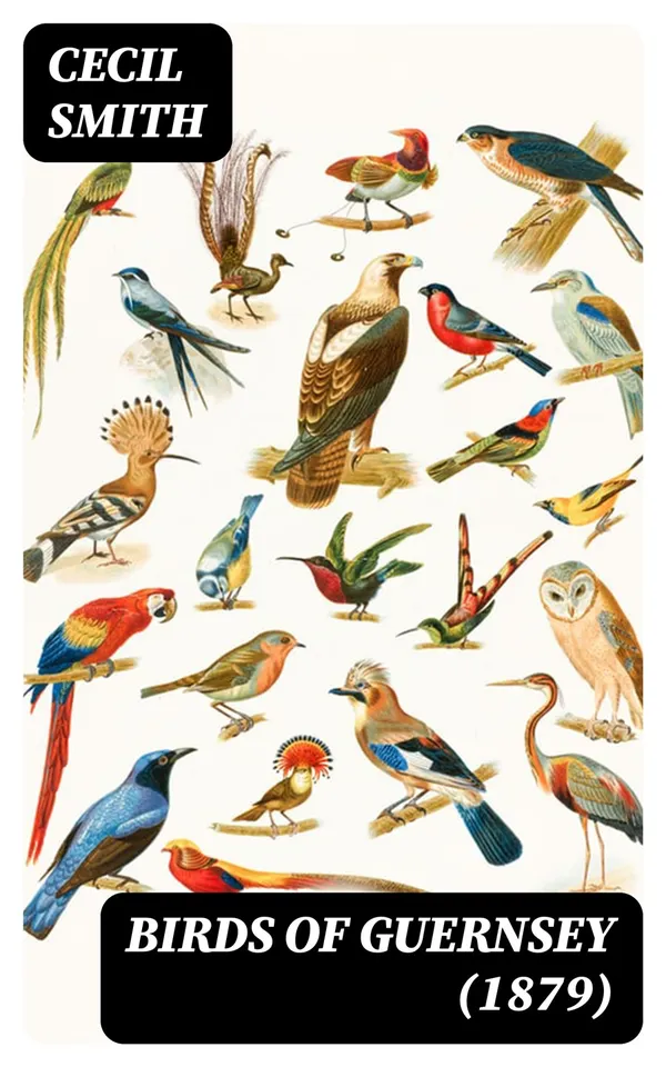 Birds of Guernsey (1879) : And the Neighbouring Islands: Alderney, Sark, Jethou, Herm; Being a Small Contribution to the Ornitholony of the Channel Islands