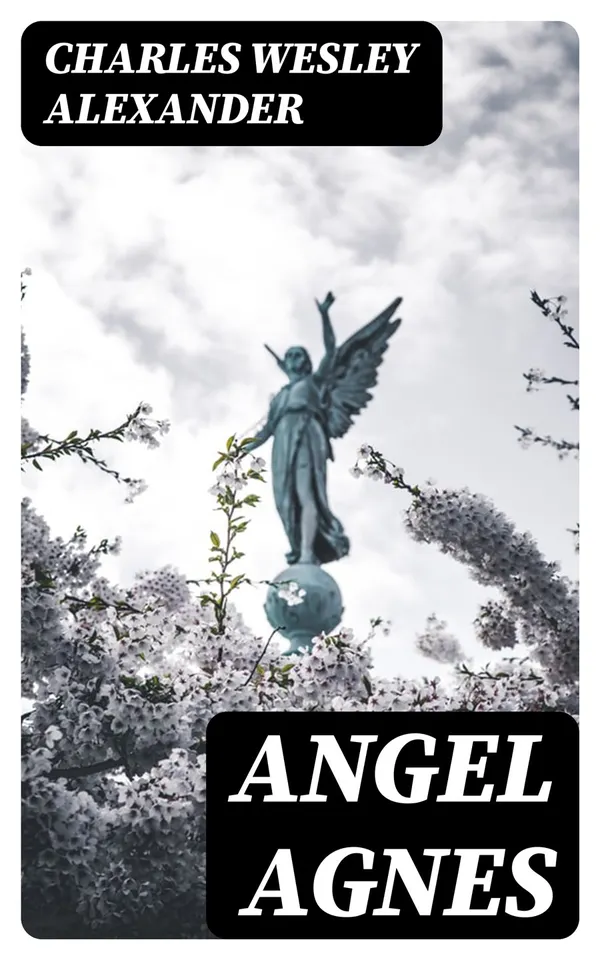 Angel Agnes : The Heroine of the Yellow Fever Plague in Shreveport