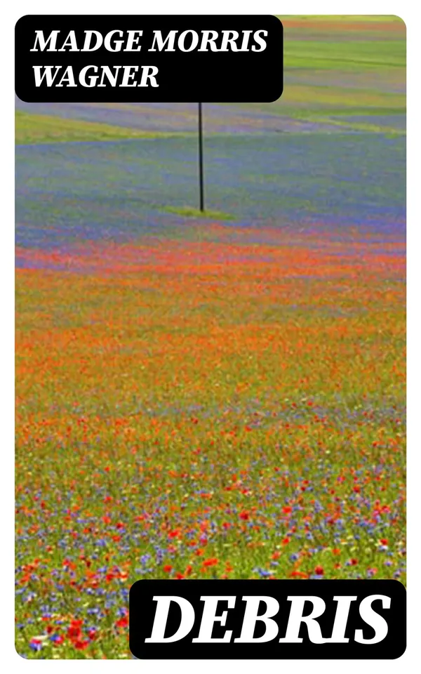 Debris : Selections from Poems
