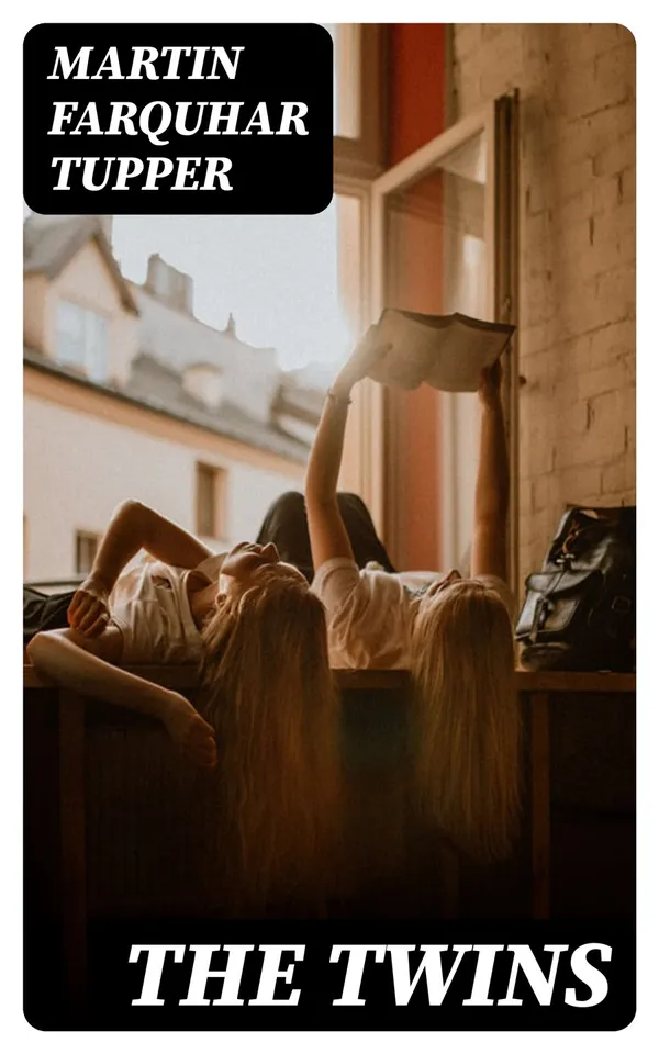 The Twins : A Domestic Novel