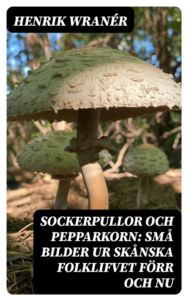 Sockerpullor och Pepparkorn: Små bilder ur skånska folklifvet förr och nu