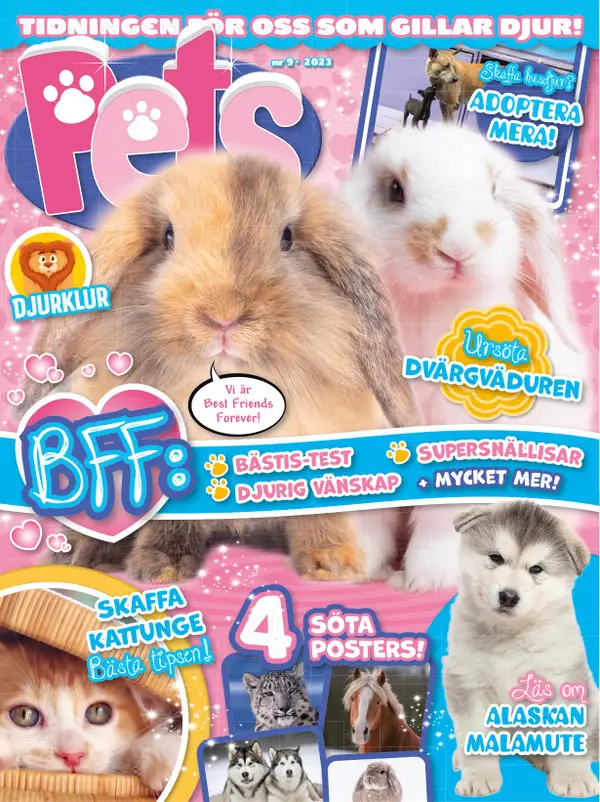 Pets