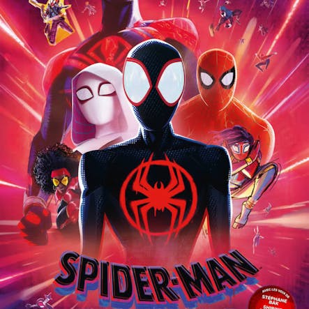 Adaptation Et Ciné : Spider-Man : Across The Spider-Verse #294