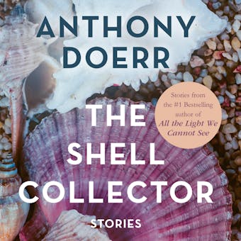 The Shell Collector - undefined