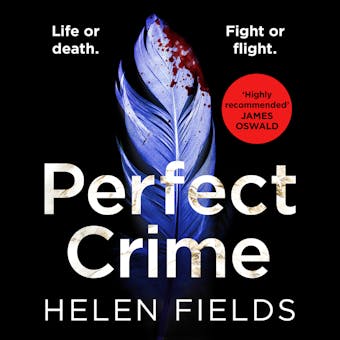 Perfect Crime - Helen Fields