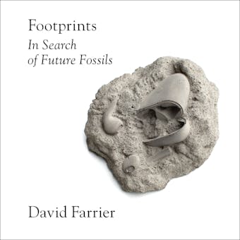 Footprints - David Farrier