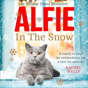 Alfie in the Snow - undefined
