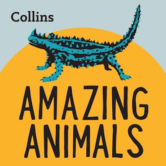 Collins â€“ Amazing Animals: For ages 7â€“11 - undefined