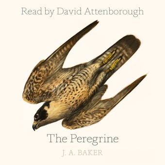 The Peregrine - J. A. Baker