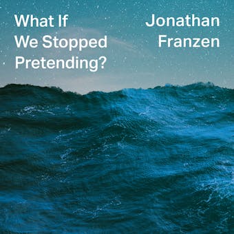 What If We Stopped Pretending? - Jonathan Franzen