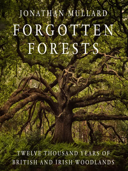 Forgotten Forests : Twelve Thousand Years Of British And Irish Woodlands