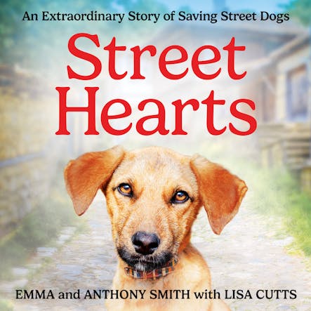 Street Hearts : An Extraordinary Story Of Saving Street Dogs