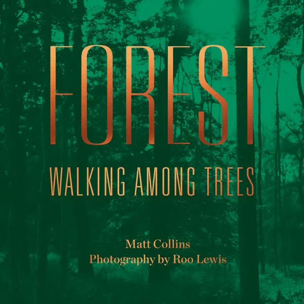 Forest : Walking among trees