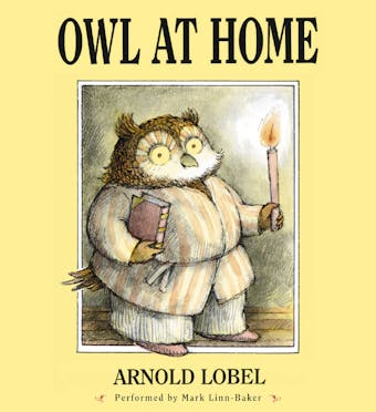 Owl at Home - undefined
