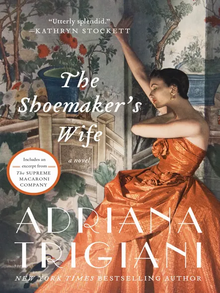 The Shoemaker's Wife : A Novel