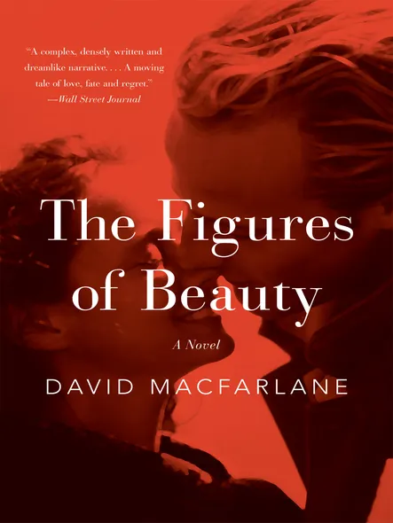 The Figures Of Beauty : A Novel