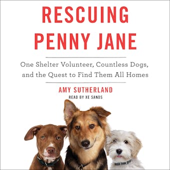 Rescuing Penny Jane: One Shelter Volunteer, Countless Dogs, and the Quest to Find Them All Homes - Amy Sutherland