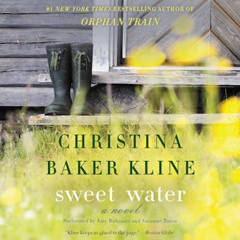 Sweet Water: A Novel - undefined