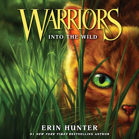 Warriors #1: Into The Wild
