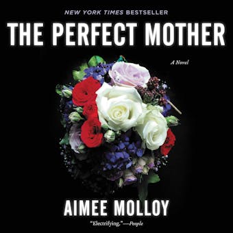 The Perfect Mother: A Novel - undefined