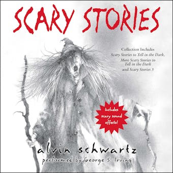 Scary Stories Audio Collection - undefined